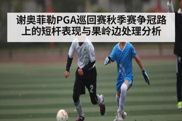 谢奥菲勒PGA巡回赛秋季赛争冠路上的短杆表现与果岭边处理分析（KAIYUN SPORTS）