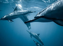 开云官方网站-CMG群众足球邀请赛 玉树队战胜呼和浩特队